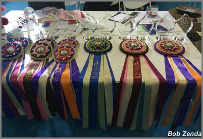 Best in Show Awards